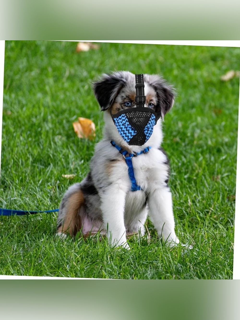 Dog Muzzle, Air Mesh Breathable Muzzle for Small Sized Dogs to Anti & Prevent Bi